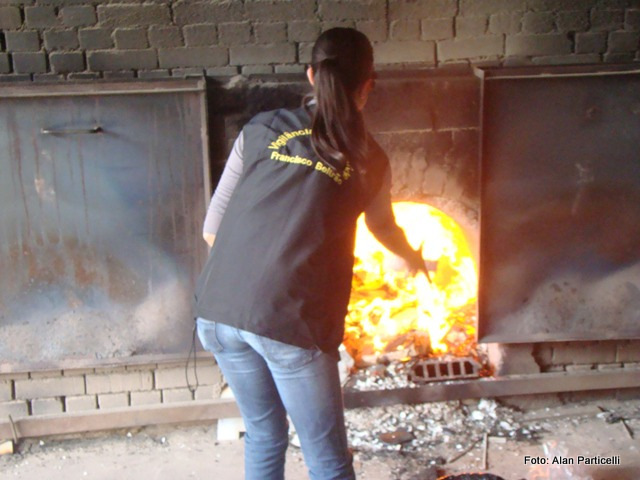 Imagem Imagem