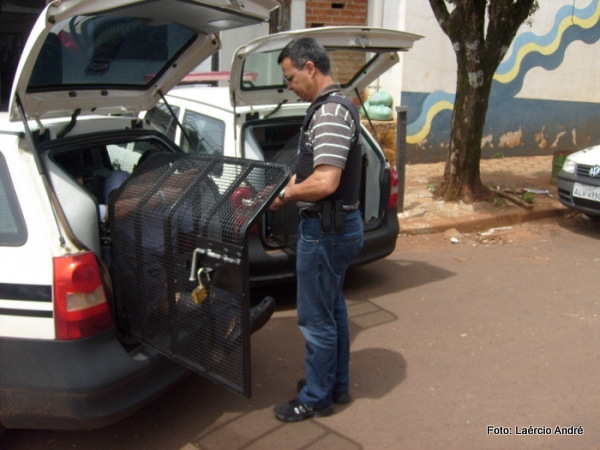 Imagem Imagem